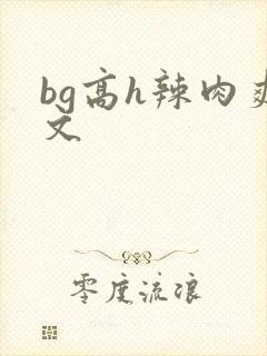 bg高h辣肉爽文