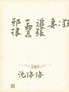 邪王追妻:狂妃很嚣张