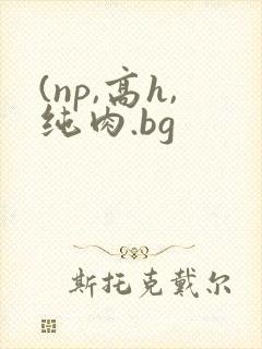 (np,高h,纯肉.bg