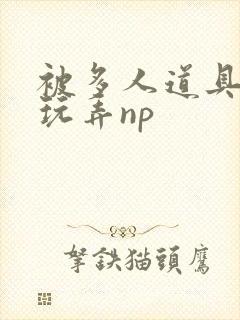 被多人道具调教玩弄np封面