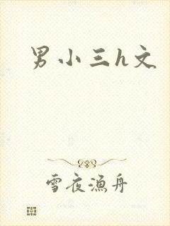 男小三h文