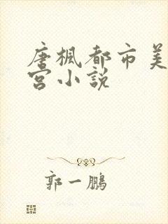 唐枫都市美艳后宫小说封面