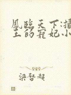 凤临天下:摄政王的宠妃小说