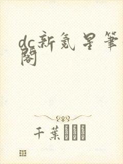 dc新氪星笔趣阁封面