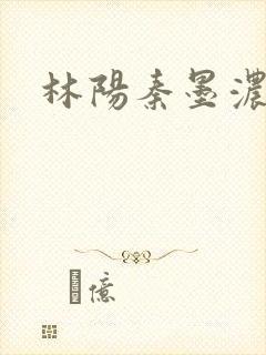 林阳秦墨浓度封面