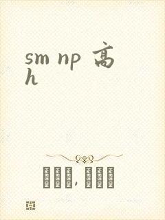 sm np 高h