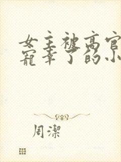 女主被高官大叔宠幸了的小说封面