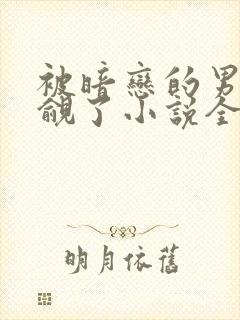 被暗恋的男神觊觎了小说全文阅读