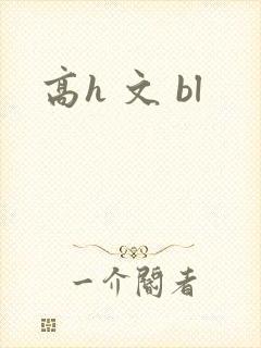 高h 文 bl