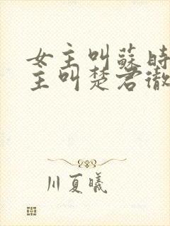 女主叫苏时锦男主叫楚君彻的小说封面