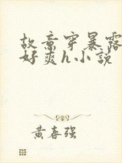 故意穿暴露被强好爽h小说