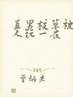 直男校草被两男人玩一夜