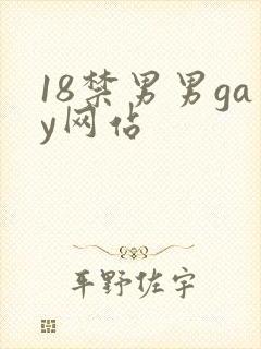 18禁男男gay网站封面