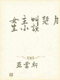 女主叫楚月的重生小说