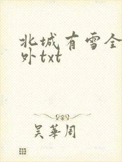 北城有雪全文番外txt