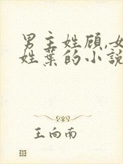 男主姓顾,女主姓叶的小说