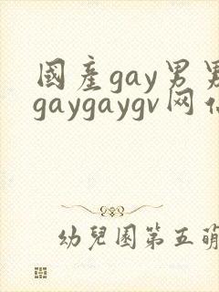 国产gay男男gaygaygv网站