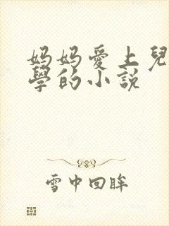 妈妈爱上儿子同学的小说