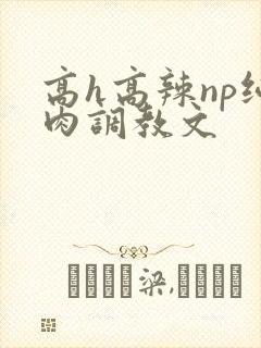 高h高辣np纯肉调教文