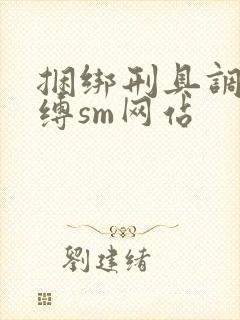 捆绑刑具调教束缚sm网站封面