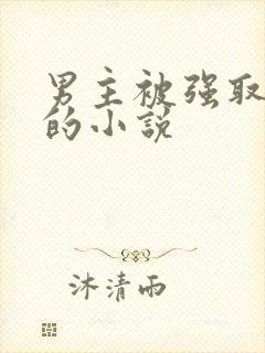 男主被强取豪夺的小说
