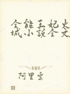 全能王妃火爆京城小说全文免费阅读