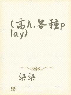(高h,各种play)