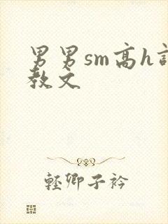 男男sm高h调教文