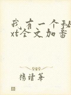 我有一个秘密txt全文加番外