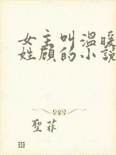 女主叫温暖男主姓顾的小说