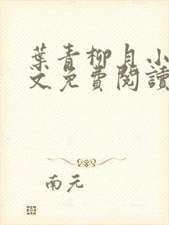 叶青柳月小说全文免费阅读无弹窗封面