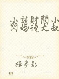 小说财阀小娇妻闪婚后大叔他把持不住了