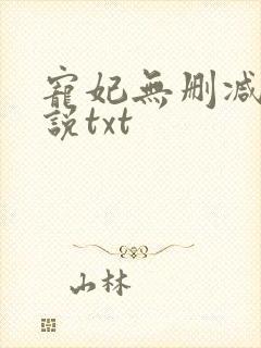 宠妃无删减版小说txt