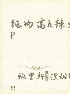 纯肉高h辣文np封面