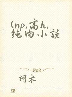 (np,高h,纯肉小说