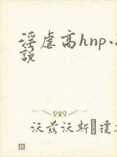 淫虐高hnp小说