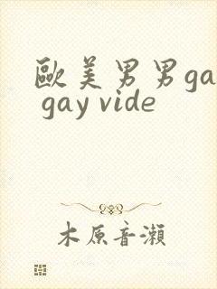 欧美男男gay gay vide