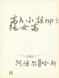 高h小说np清纯女高