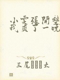 小雯张开双腿让我爽了一晚上