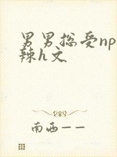 男男总受np高辣h文