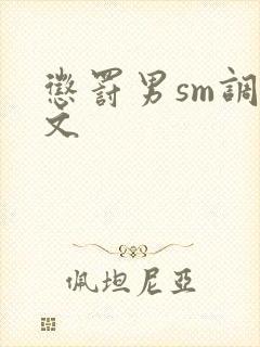 惩罚男sm调教文封面