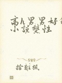 高h男男好舒服小说双性