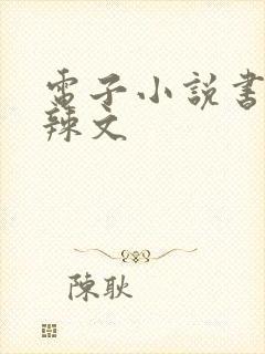 电子小说书包网辣文