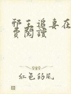 邪王追妻在线免费阅读