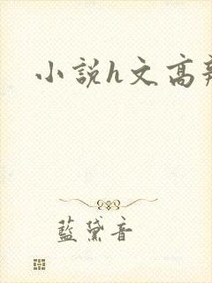 小说h文高辣