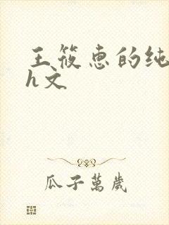 王筱惠的纯肉高h文