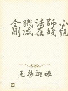 全职法师小说无删减在线观看封面