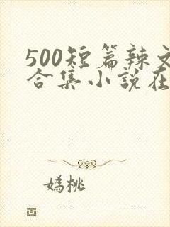 500短篇辣文合集小说在线阅读