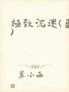 极致沉迷(臣年)封面