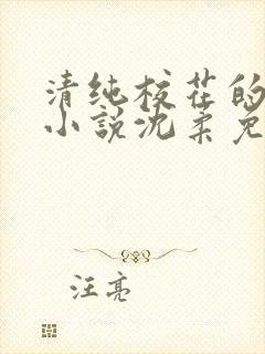 清纯校花的日常小说沈柔免费阅读